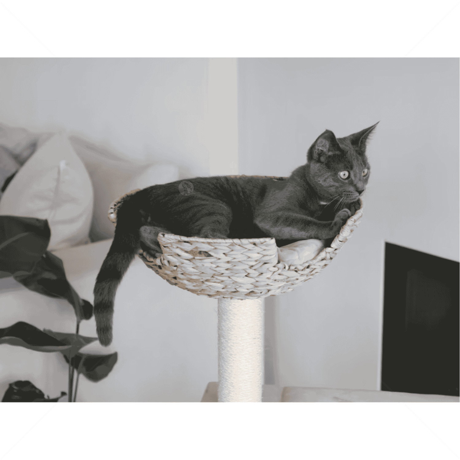 Катерушка Котешко дърво 100 см KERBL Cat Tree Banana Leaf Jade, beige