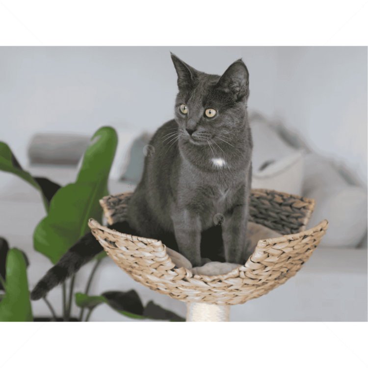 Катерушка Котешко дърво 100 см KERBL Cat Tree Banana Leaf Jade, beige