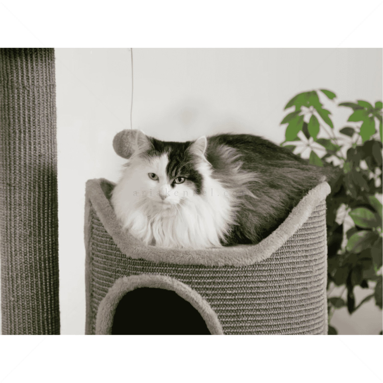 Катерушка Тиана 130 см KERBL Cat Tree Tiana, grey