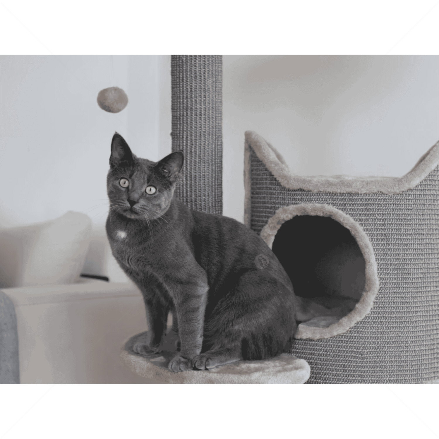 Катерушка Тиана 130 см KERBL Cat Tree Tiana, grey