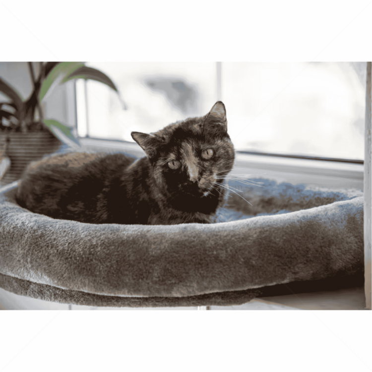 Легло за прозорец KERBL Window Bed, grey