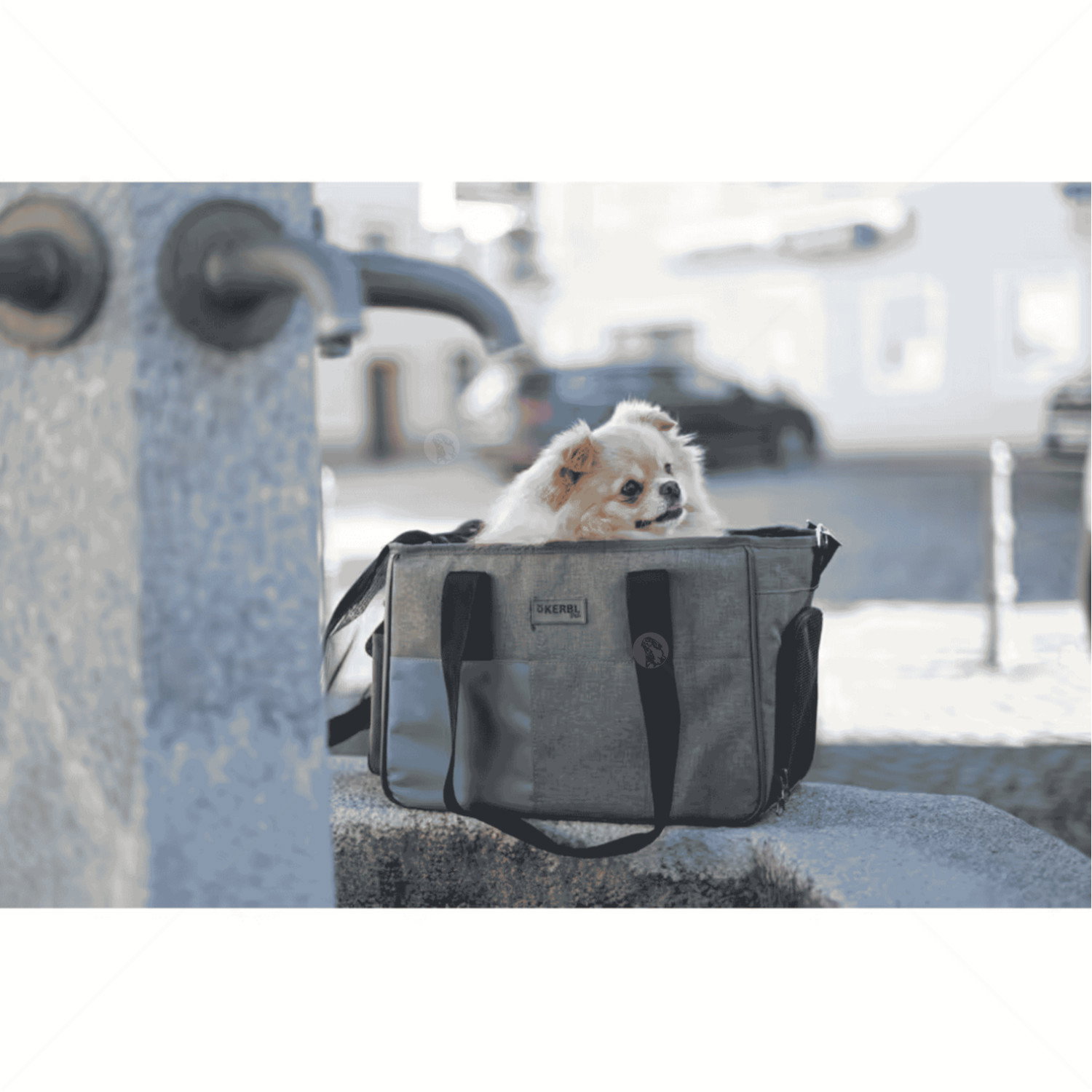 Чанта за пътуване KERBL Travel Bag Vacation, grey/ blue