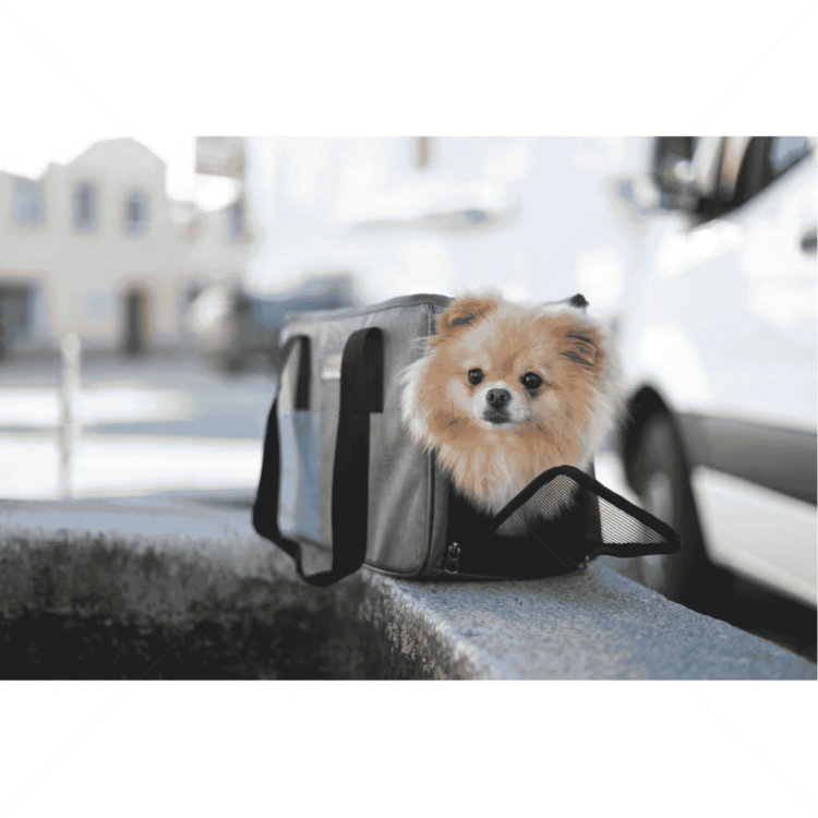 Чанта за пътуване KERBL Travel Bag Vacation, grey/ blue