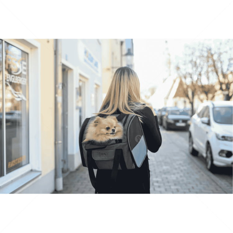 Раница за пътуване KERBL Dog Rucksack Vacation, grey/ blue