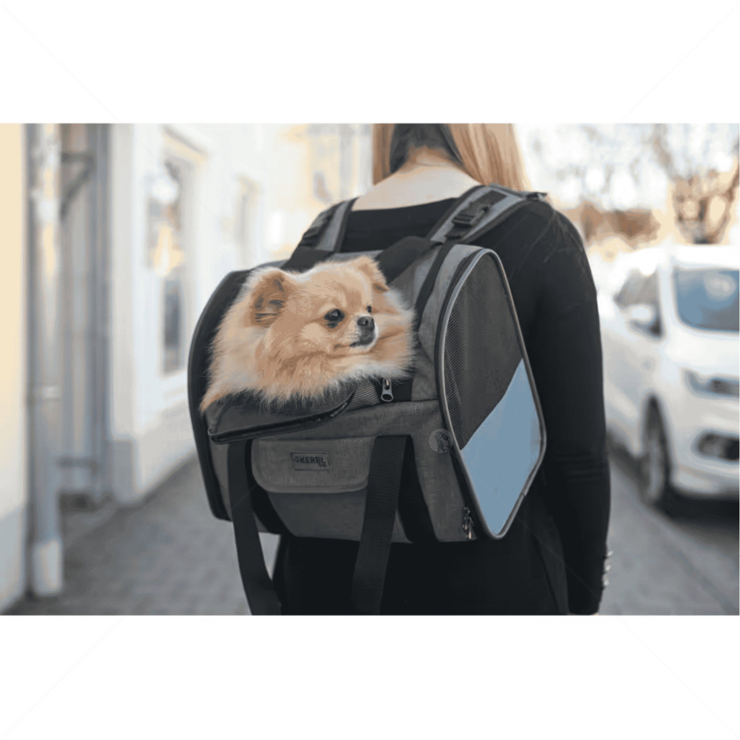 Раница за пътуване KERBL Dog Rucksack Vacation, grey/ blue