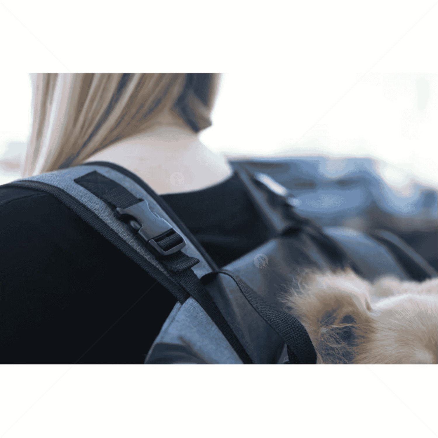 Раница за пътуване KERBL Dog Rucksack Vacation, grey/ blue