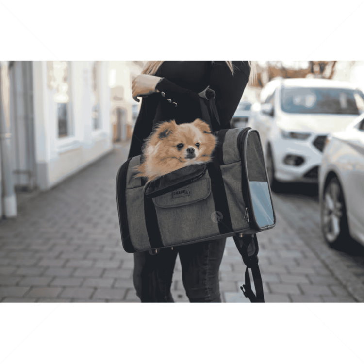Раница за пътуване KERBL Dog Rucksack Vacation, grey/ blue