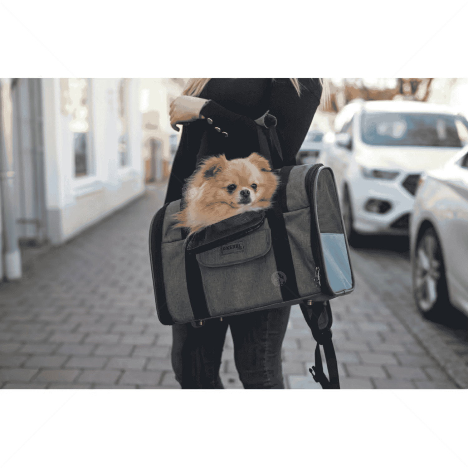 Раница за пътуване KERBL Dog Rucksack Vacation, grey/ blue