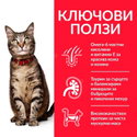 HILL’S Adult Chicken 6*85 гр