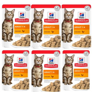 HILL’S Adult Chicken 6*85 гр