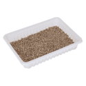 Трева за котки с тавичка KERBL Cat Grass