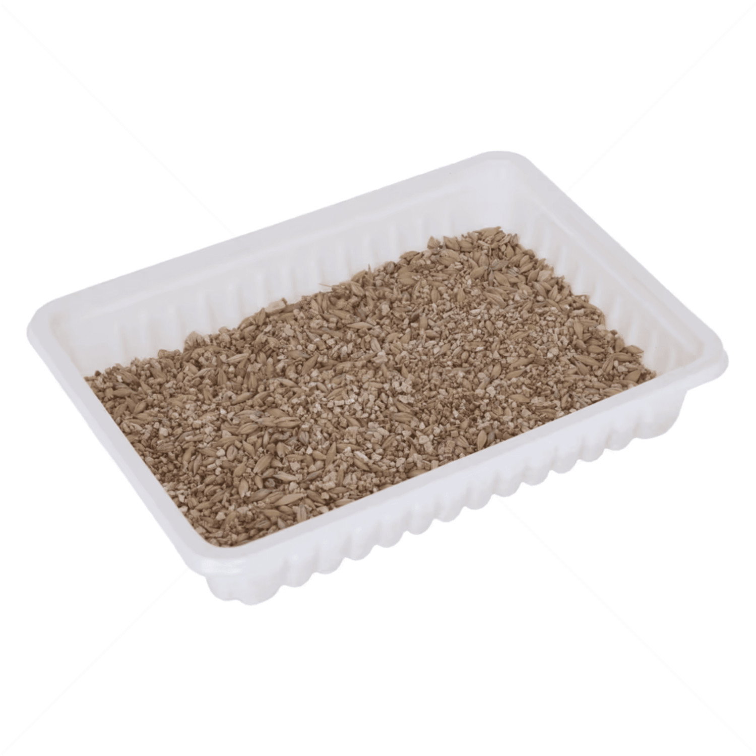 Трева за котки с тавичка KERBL Cat Grass