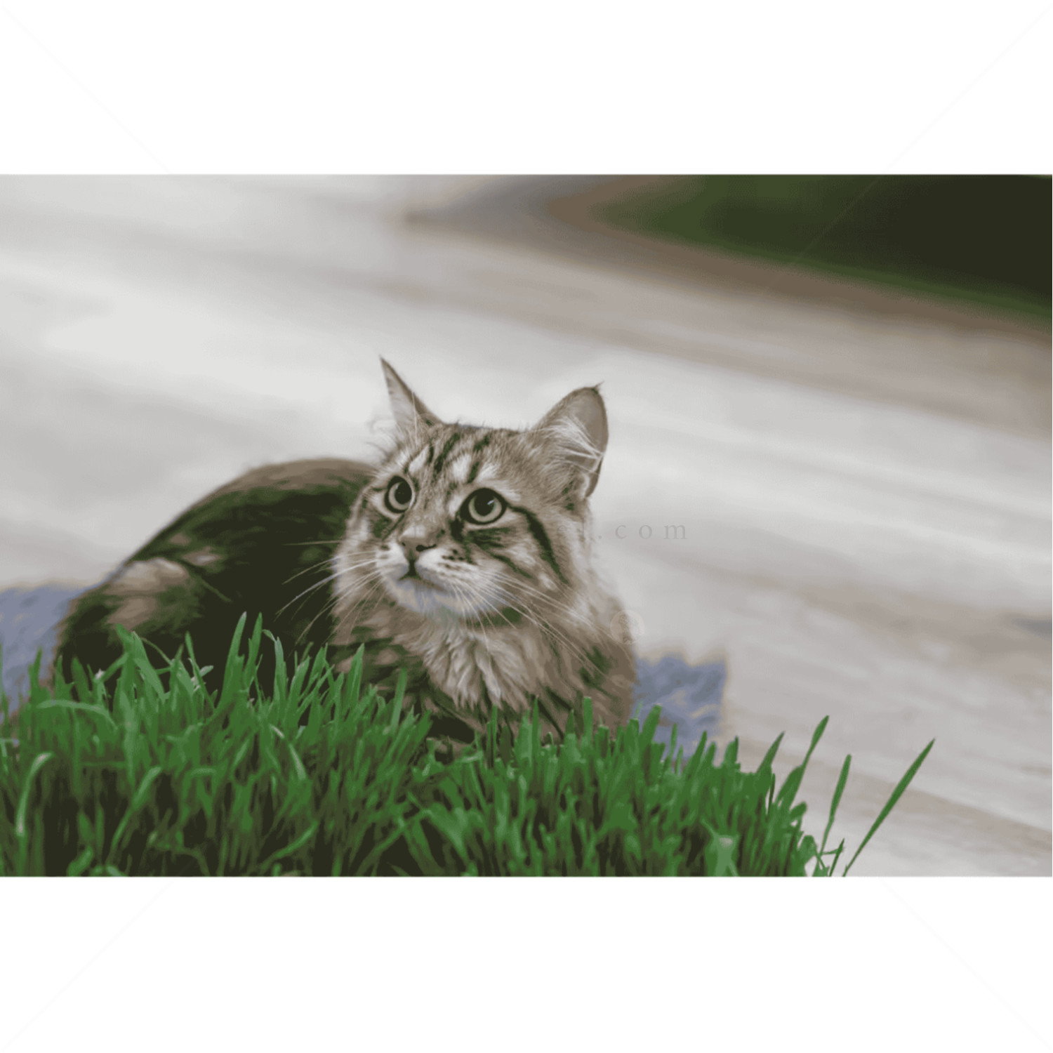 Трева за котки с тавичка KERBL Cat Grass