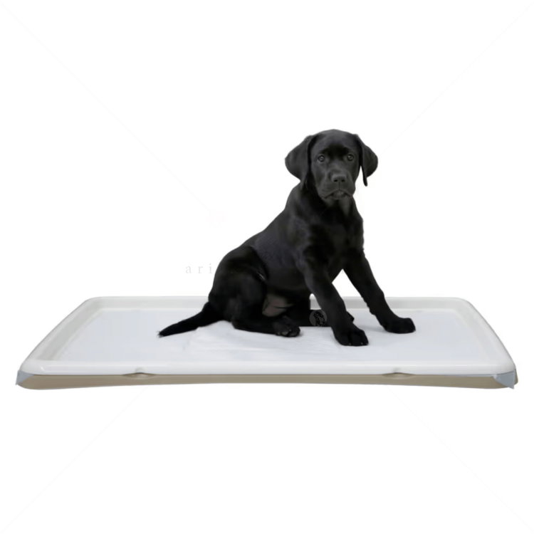 Поставка за подложки за кучета, 60х90 см, STEFANPLAST Puppy toilet XL