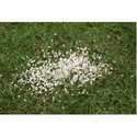 Репелентни гранули срещу кучета и котки KERBL Deterrent granules