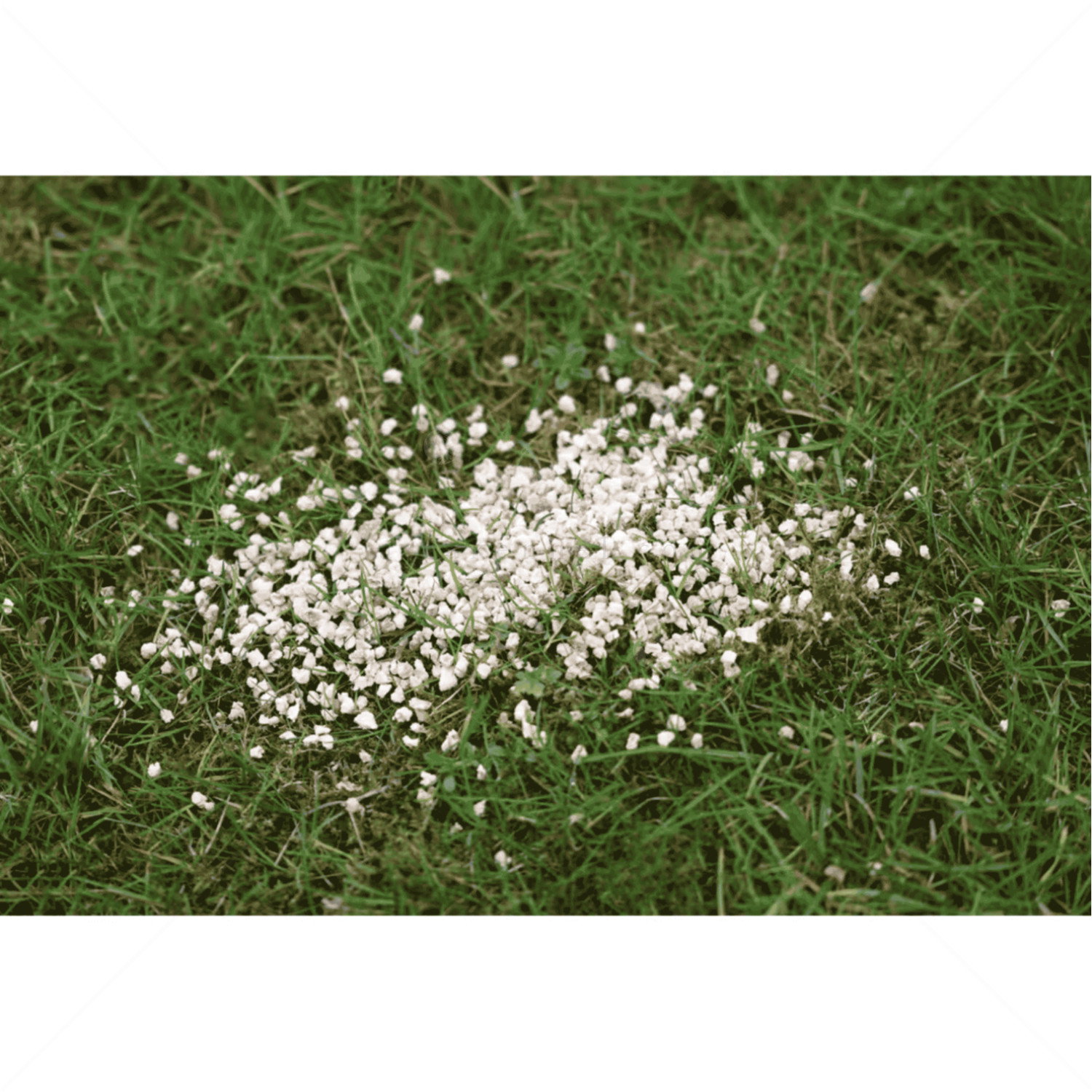 Репелентни гранули срещу кучета и котки KERBL Deterrent granules