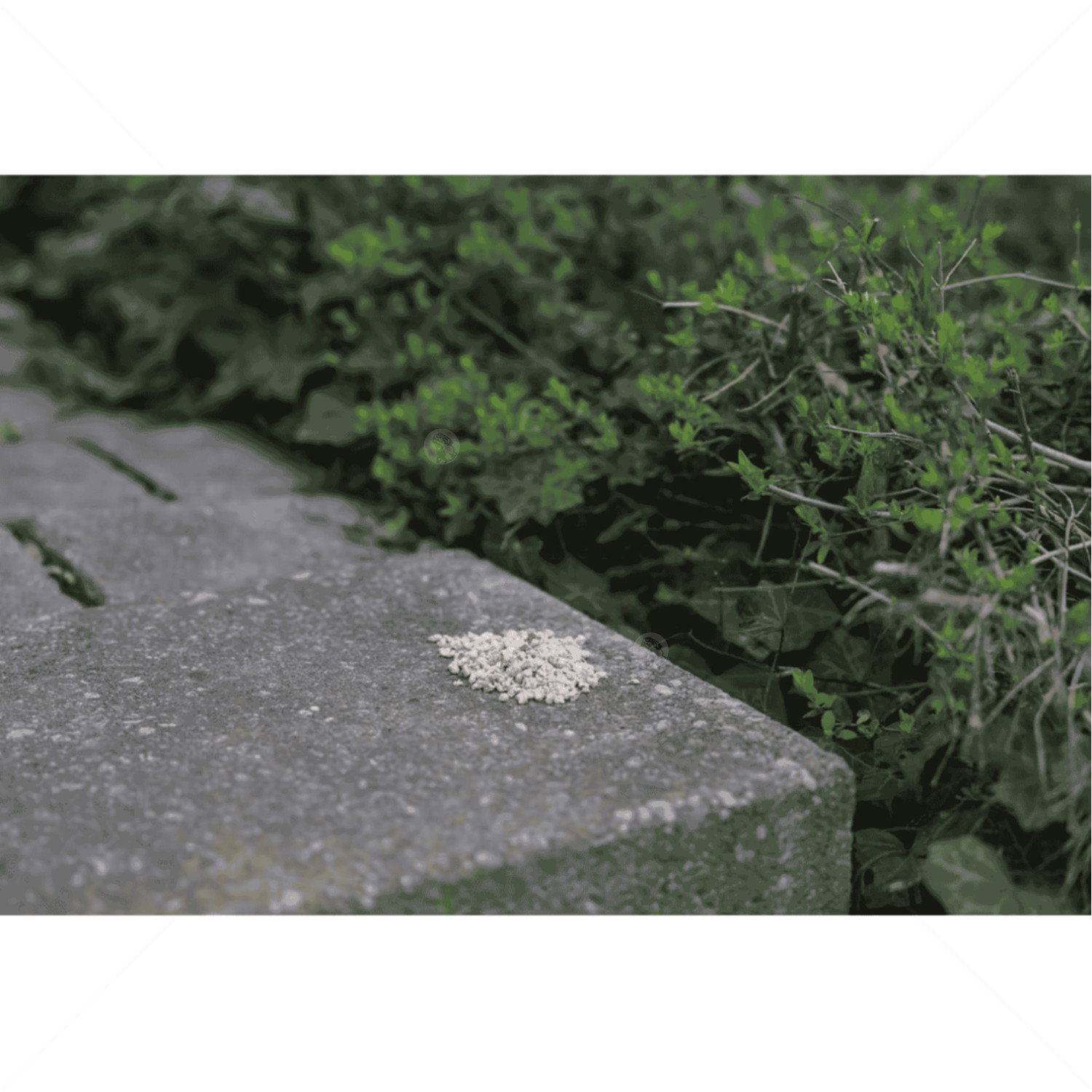 Репелентни гранули срещу кучета и котки KERBL Deterrent granules