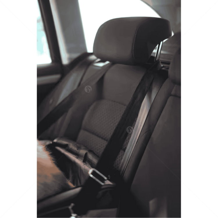 Чанта за пътуване и Кош за кола KERBL Car Seat Pocket Vacation, grey/ blue