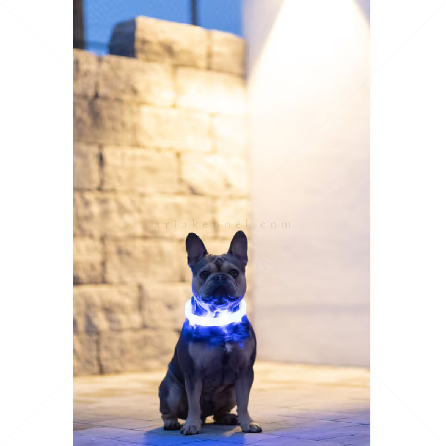Силиконов нашийник с LED индикатор и USB, KERBL Maxi Safe, електриково зелен