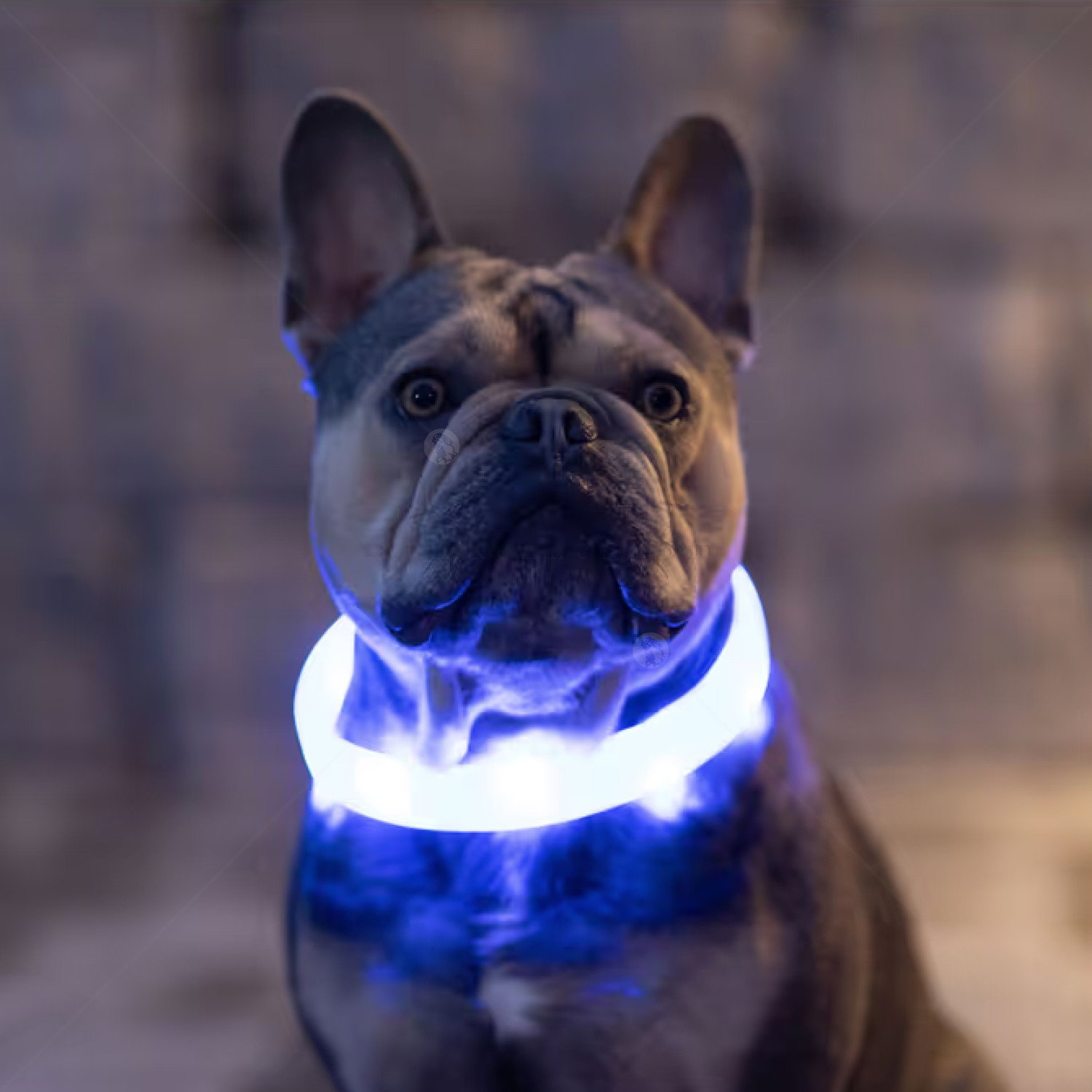 Силиконов нашийник с LED индикатор и USB, KERBL Maxi Safe, електриково зелен