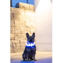Силиконов нашийник с LED индикатор и USB, KERBL Maxi Safe, син
