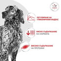 ROYAL CANIN Veterinary Dog Glycobalance 7 кг