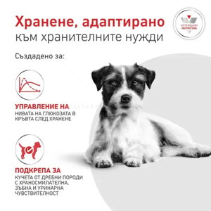 ROYAL CANIN Veterinary Dog Glycobalance Small Dog 1.500 кг