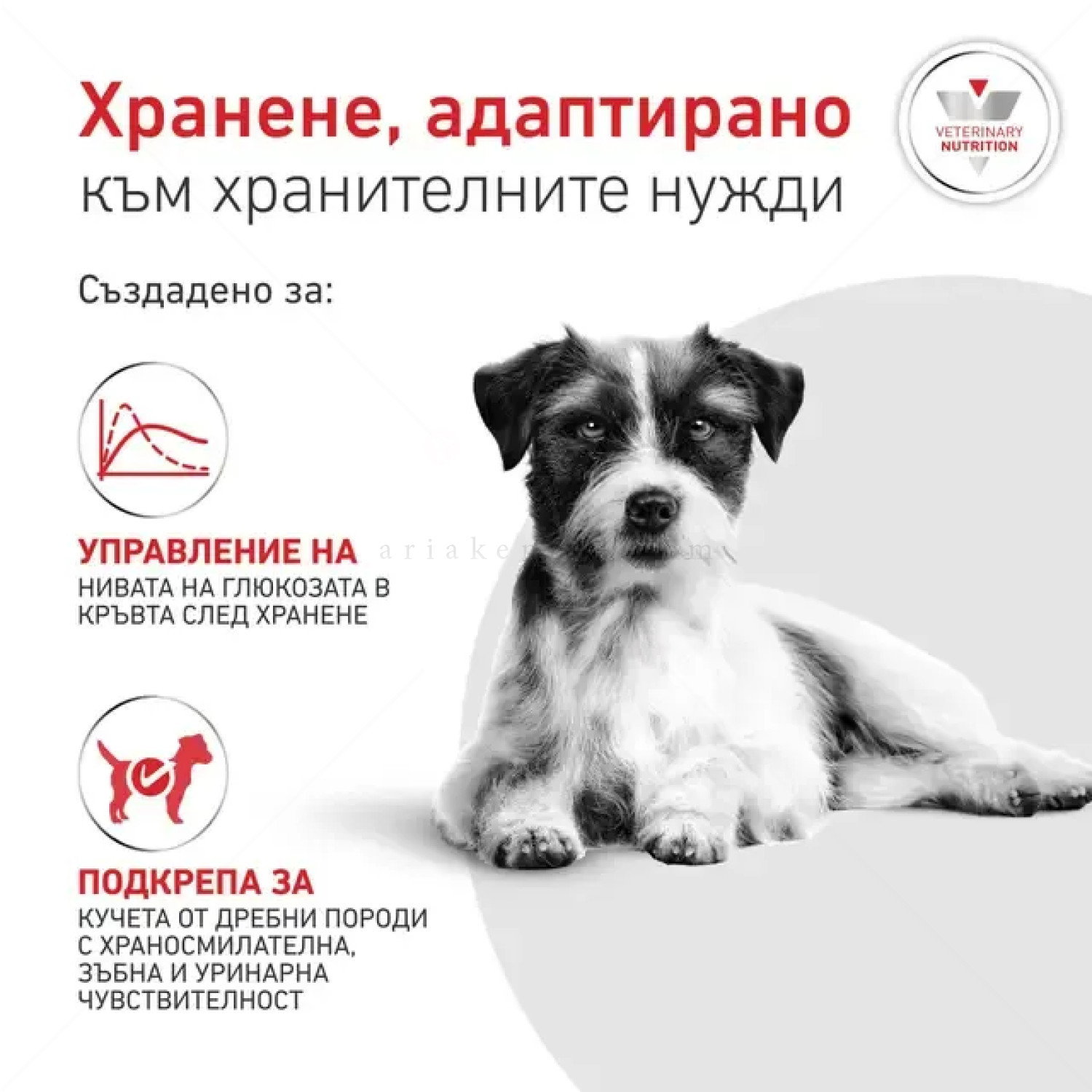 ROYAL CANIN Veterinary Dog Glycobalance Small Dog 1.500 кг
