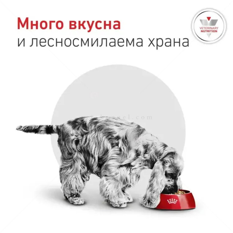 ROYAL CANIN Veterinary Dog Glycobalance Small Dog 1.500 кг