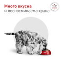 ROYAL CANIN Veterinary Dog Glycobalance Small Dog 1.500 кг