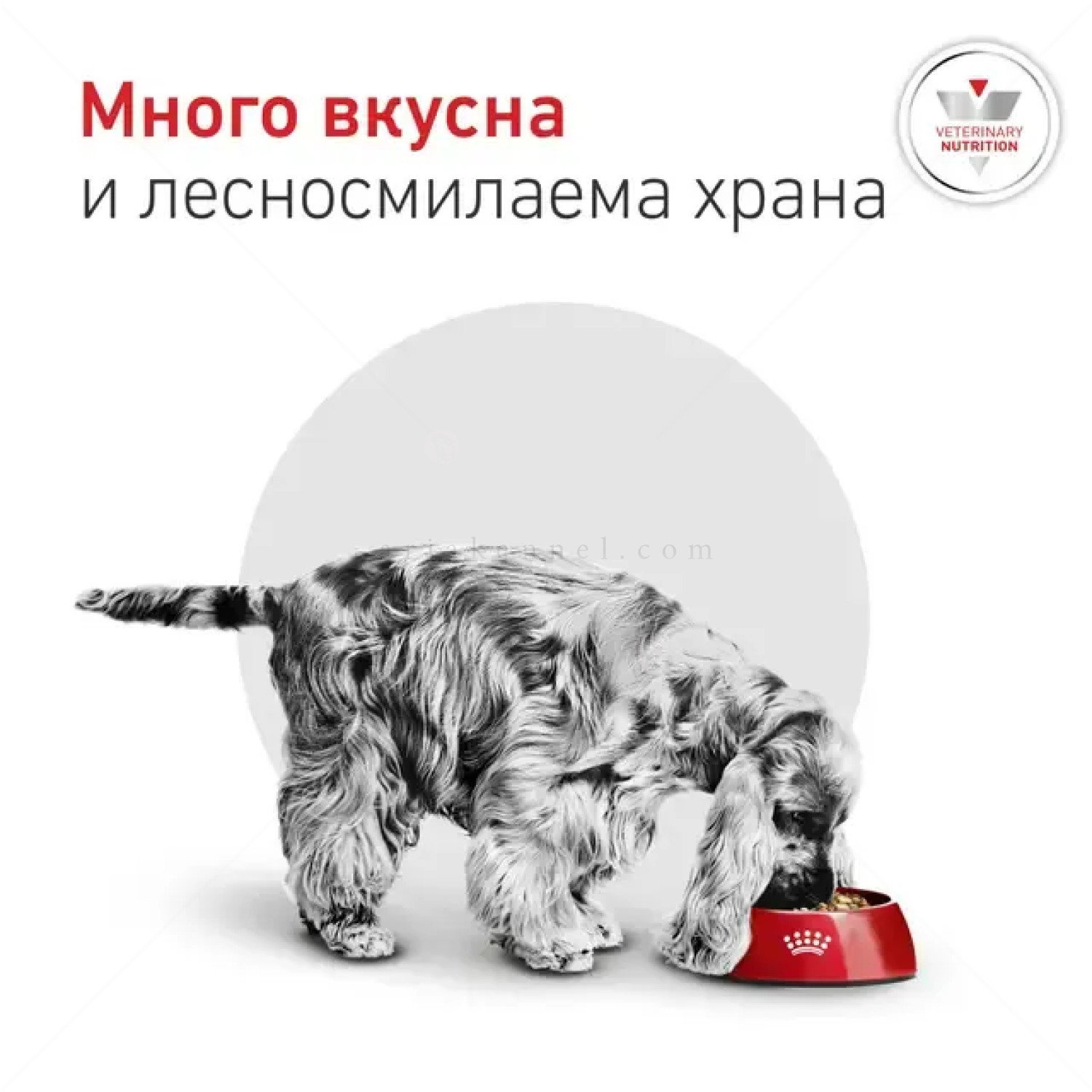 ROYAL CANIN Veterinary Dog Glycobalance Small Dog 1.500 кг
