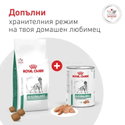 ROYAL CANIN Veterinary Dog Glycobalance Low Carbohydrate 410 гр