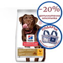 HILL'S SP 14 кг Adult Large Breed Healthy Mobility