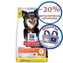 HILL'S SP 6 кг Adult Small&Mini Perfect Digestion