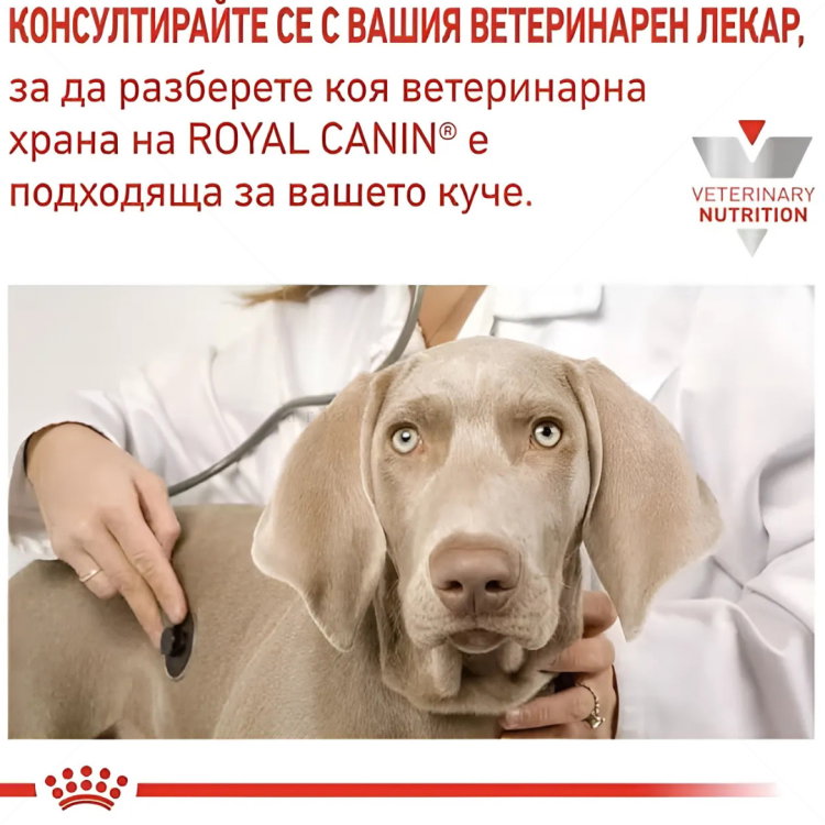 ROYAL CANIN Veterinary Dog Gastrointestinal Low Fat 200 гр