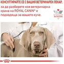ROYAL CANIN Veterinary Dog Gastrointestinal Low Fat 200 гр