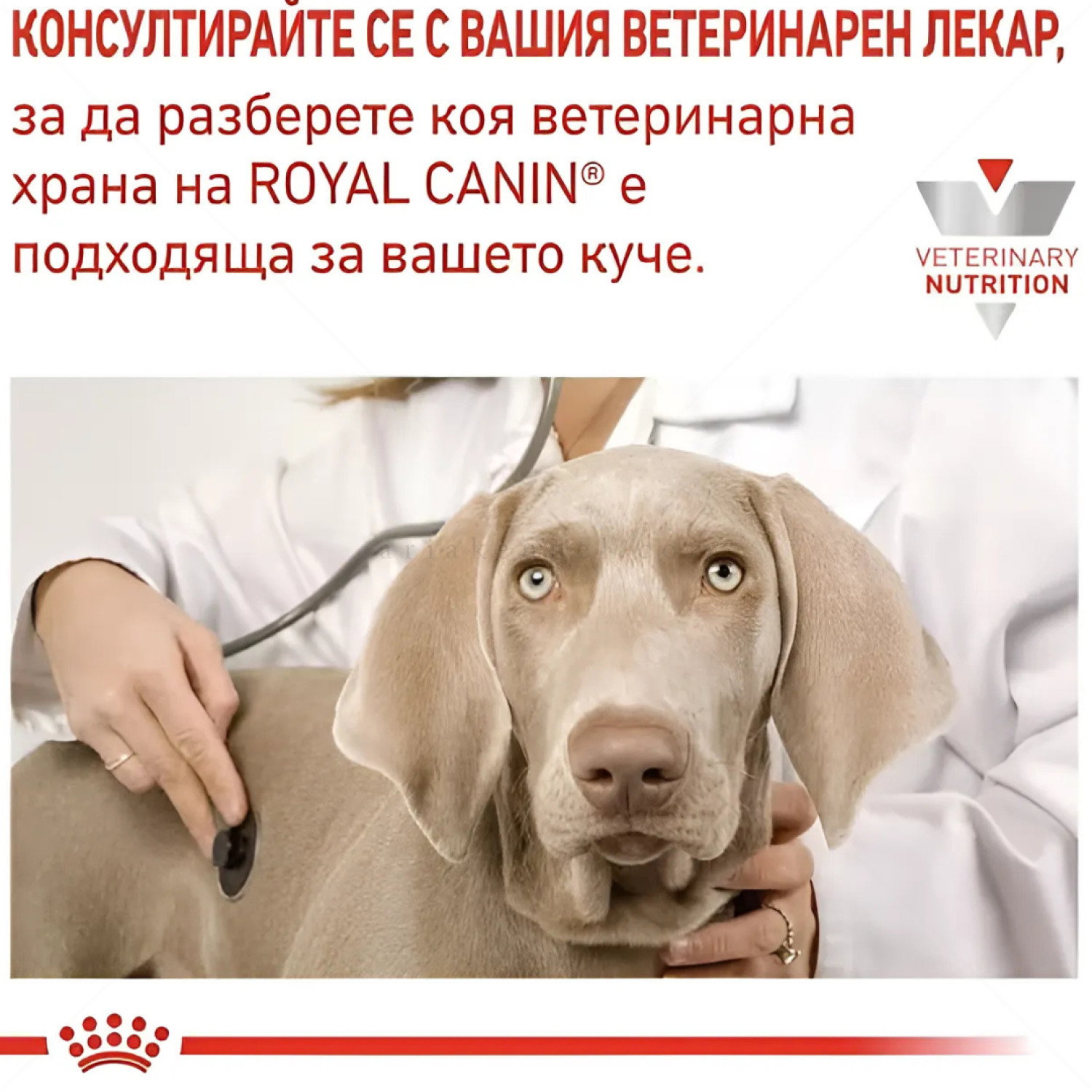 ROYAL CANIN Veterinary Dog Gastrointestinal Low Fat 200 гр