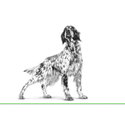 ROYAL CANIN Veterinary Dog Gastrointestinal Low Fat 200 гр