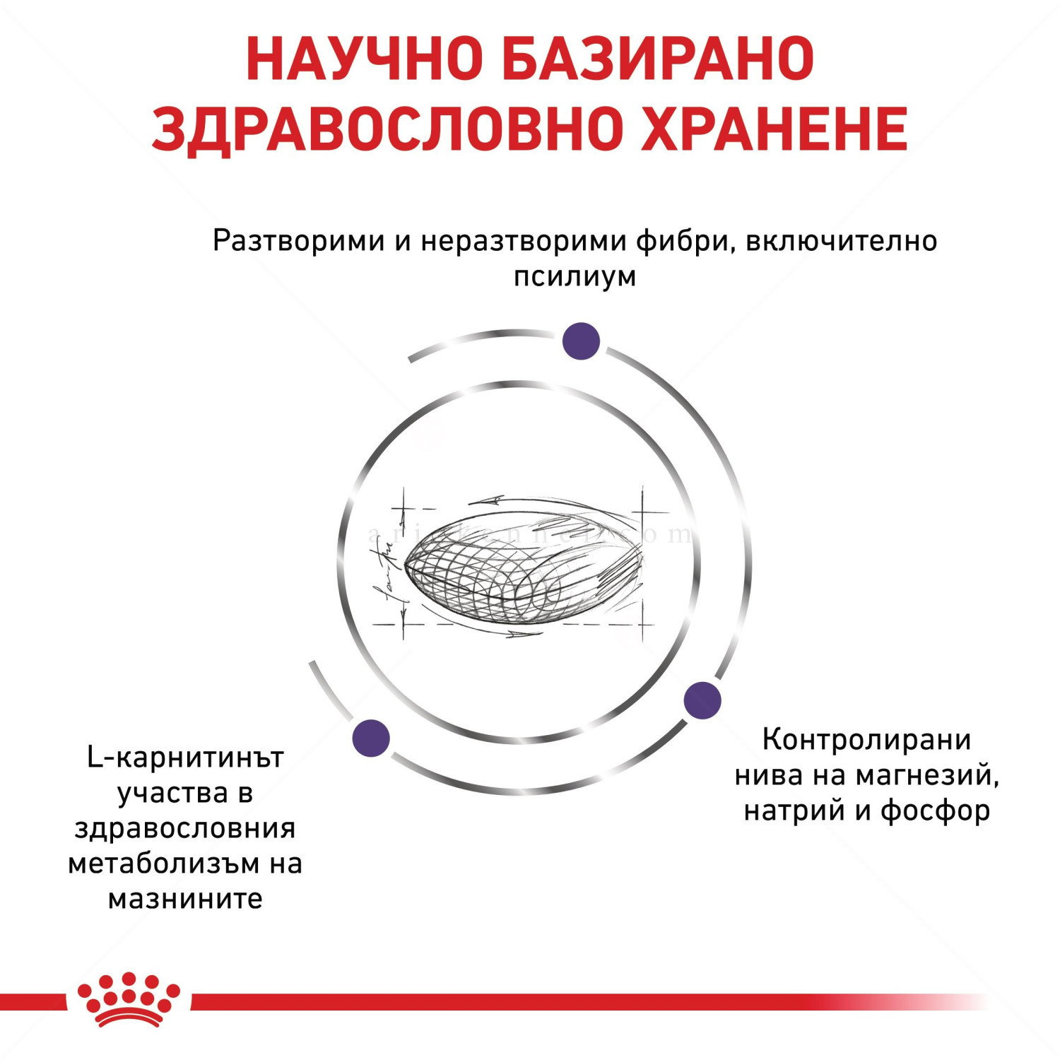 ROYAL CANIN 1.500 кг Vet Expert Neutered Satiety Balance