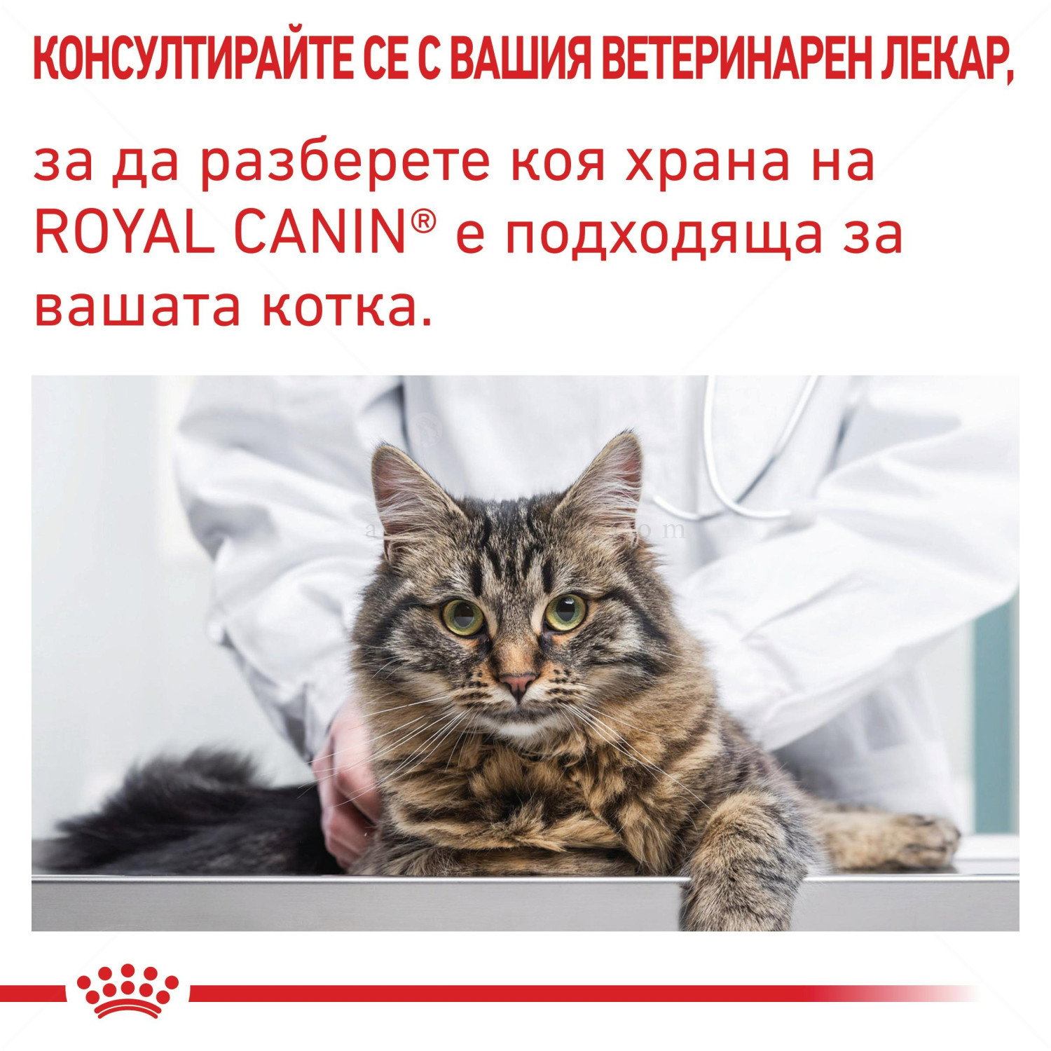 ROYAL CANIN 1.500 кг Vet Expert Neutered Satiety Balance