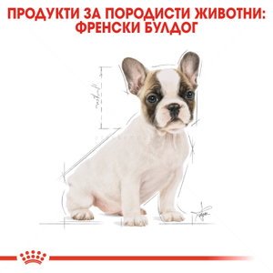 ROYAL CANIN Puppy French Bulldog - 3 кг