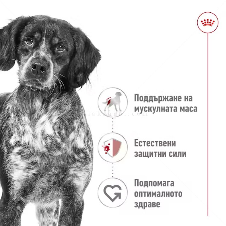 Пастет в консерва за израснали кучета 410 гр ROYAL CANIN Medium adult