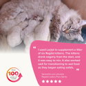 Сухо мляко за котки 250 гр BEAPHAR