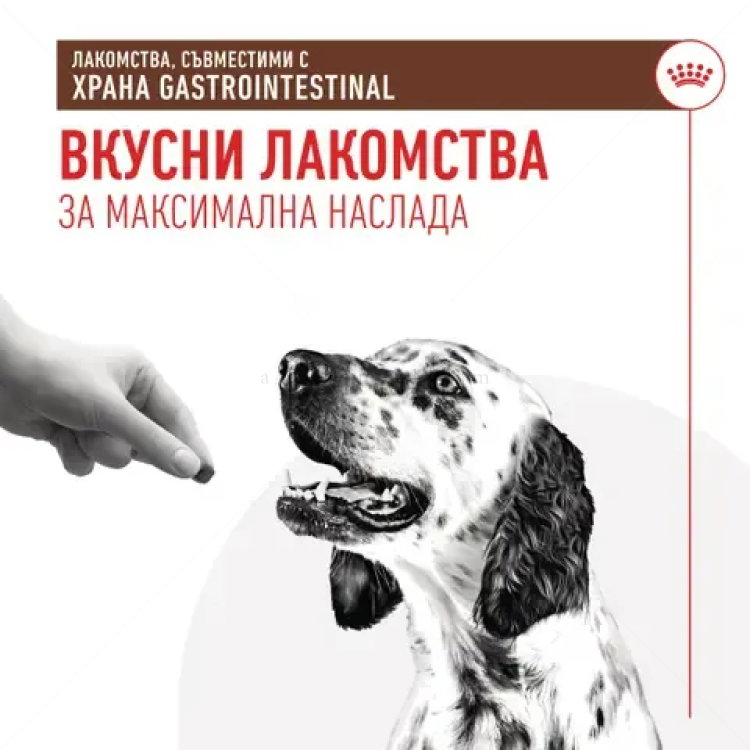 Лакомства, съвместими с диетите Gastrointestinal ROYAL CANIN Gastrointestinal Treats