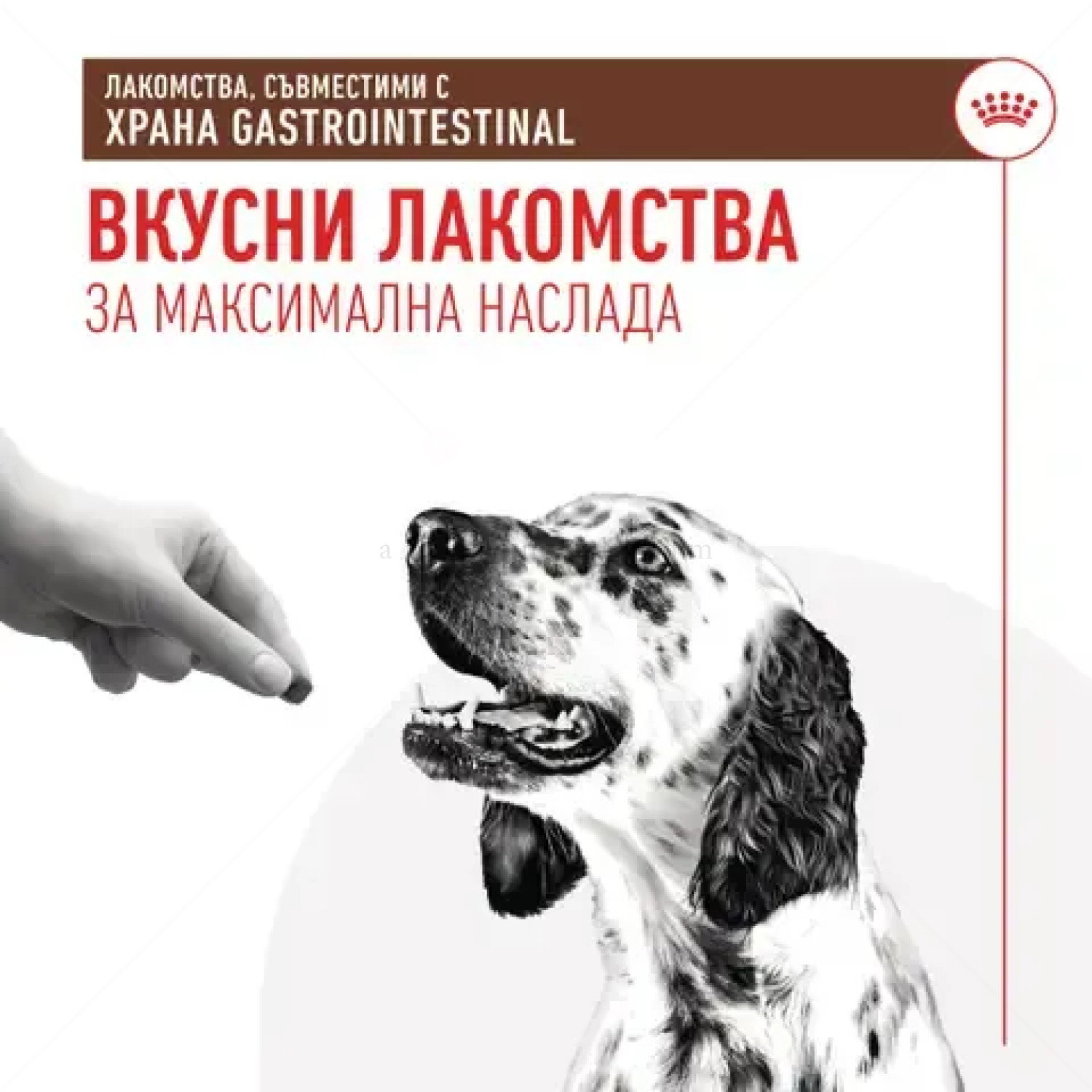 Лакомства, съвместими с диетите Gastrointestinal ROYAL CANIN Gastrointestinal Treats