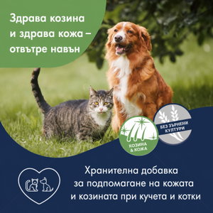 Масло от сьомга DR. CLAUDER'S Salmon Oil Natural