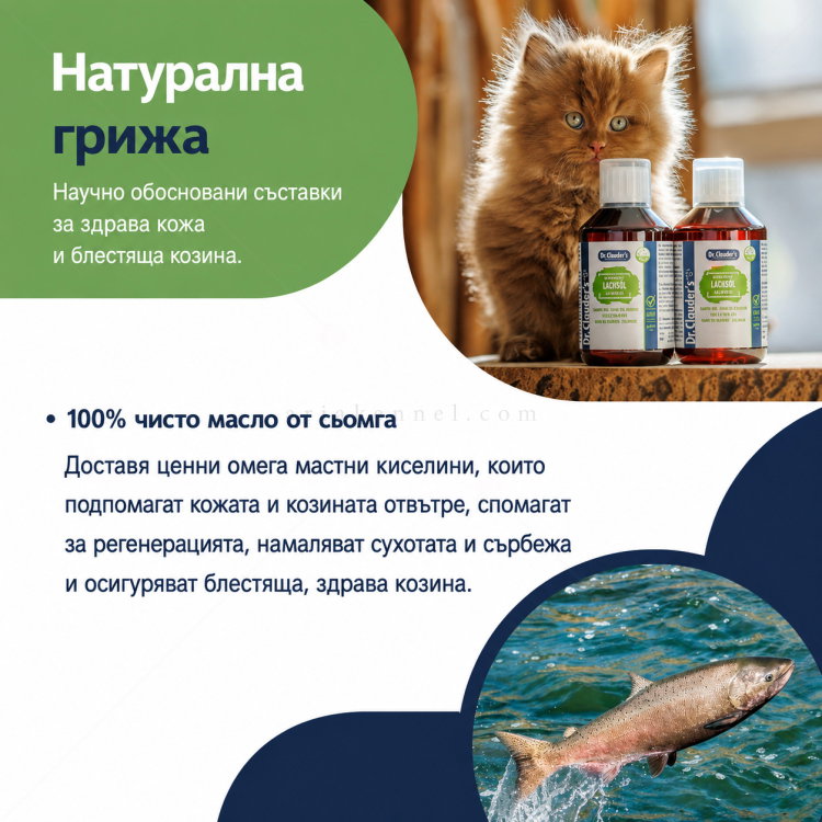 Масло от сьомга DR. CLAUDER'S Salmon Oil Natural