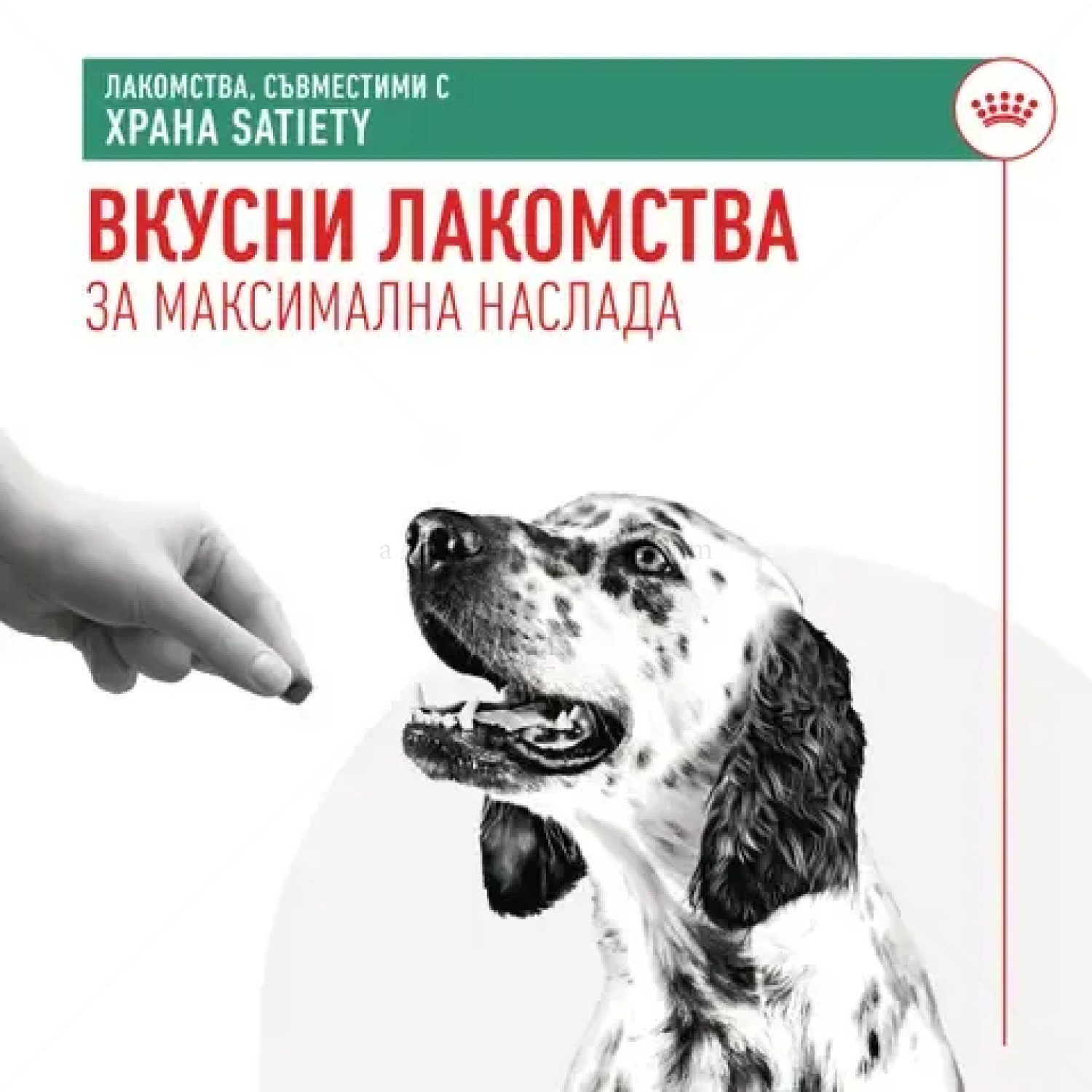 Лакомства, съвместими с диетите Satiety ROYAL CANIN Satiety Treats