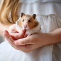 Постелка за дребни гризачи ASAN Petit