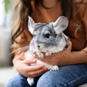 Постелка с екстракт от алое за гризачи 42 л ASAN Pet Aloe